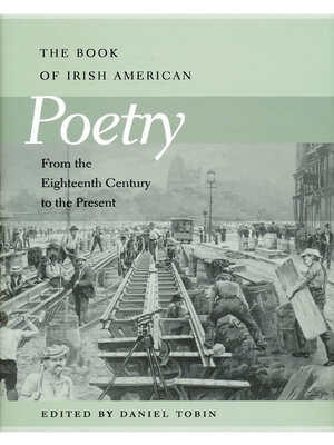 cover image of Book of Irish American Poetry